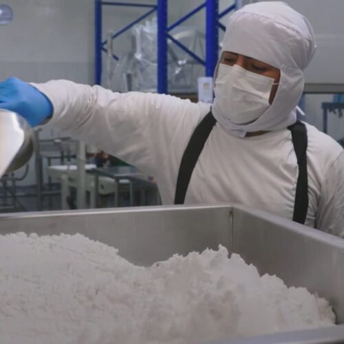 Personal con equipo de inocuidad manipulando alimento en polvo en una tina de acero inoxidable